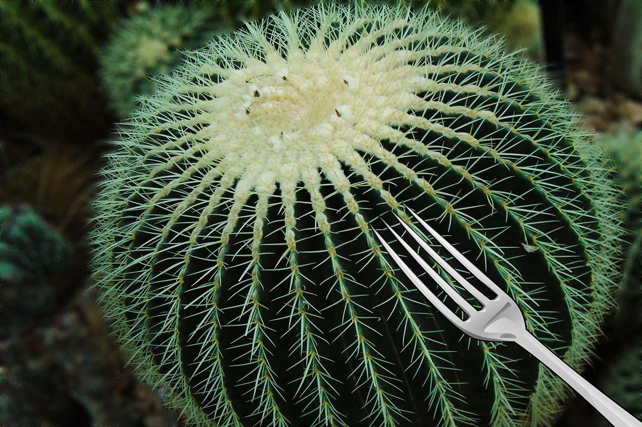 Мыши
